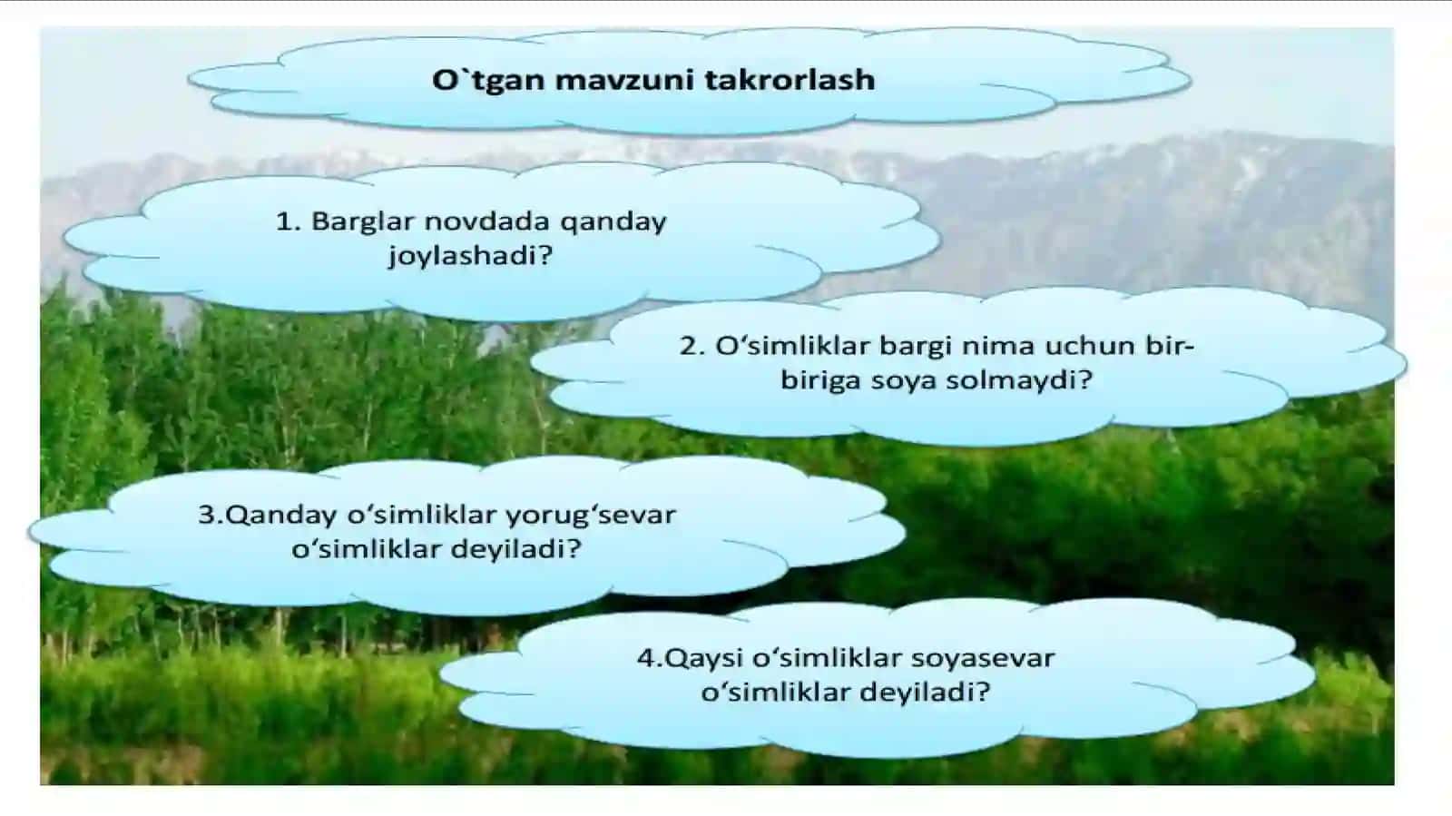 BARGLARDA ORGANIK MODDALARNING HOSIL BO‘LISHI 3