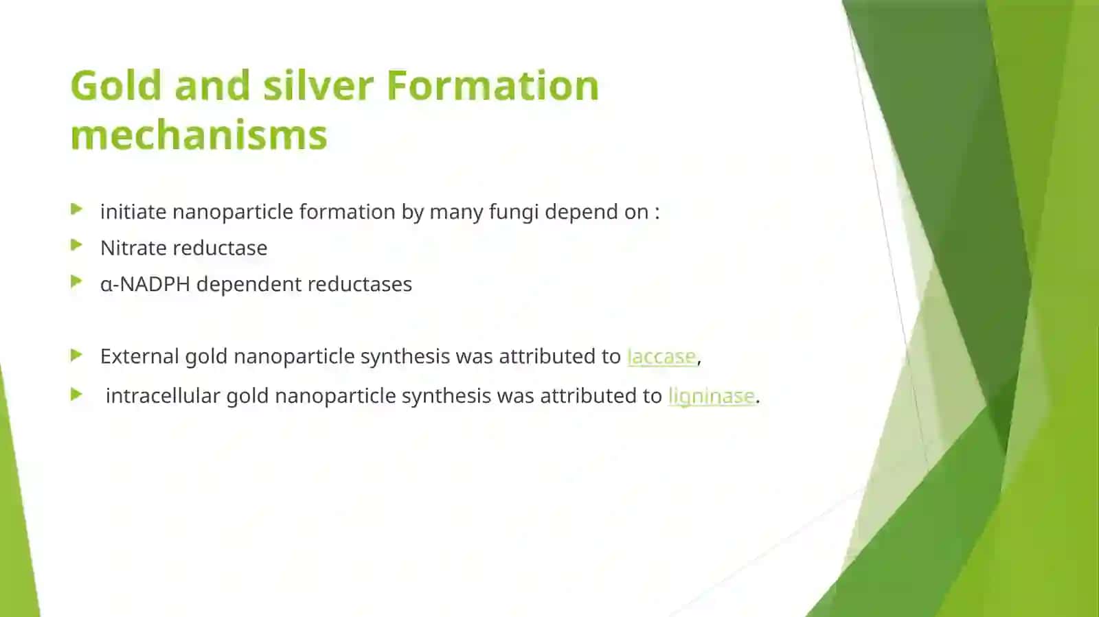 Nanoparticles Synthesis by Fungi 3
