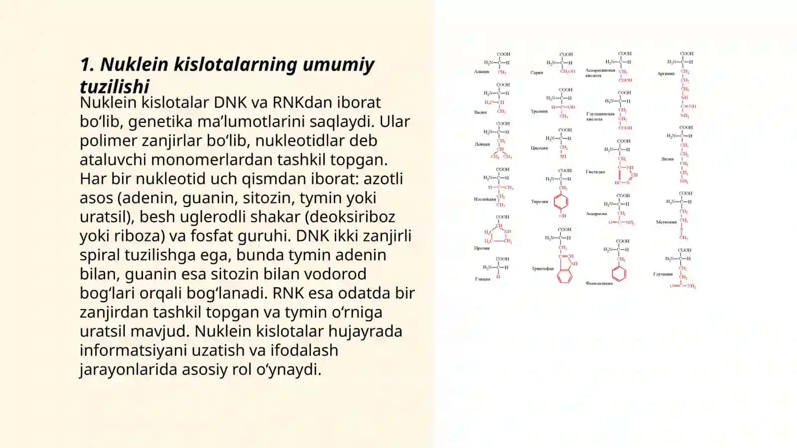 Nuklein kislotalar turlari: DNK va RNK turlari 3