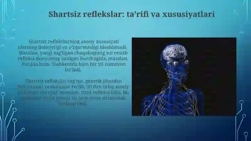 Oliy nerv sistemasi shartli va shartsiz reflekslar 3