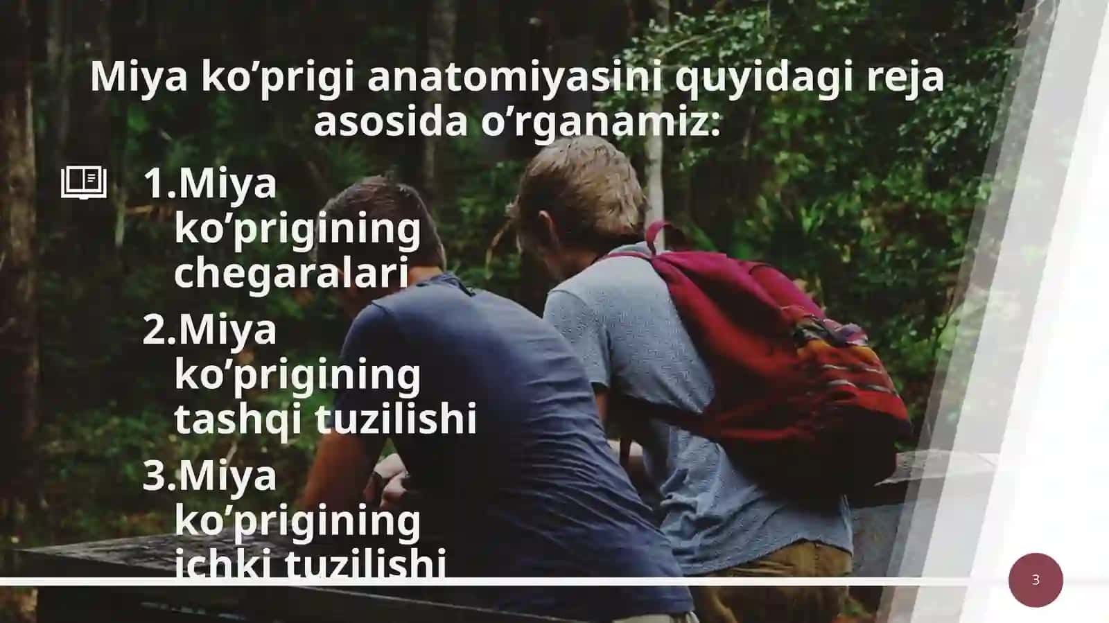 Miyako’prigi(pons) 3