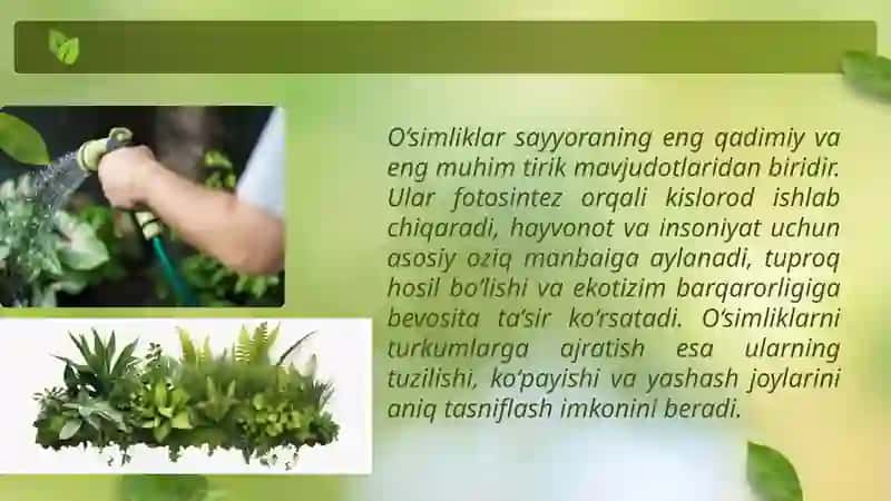 O‘simlik turkumlari va ularning tabiiy joylashishlari 3