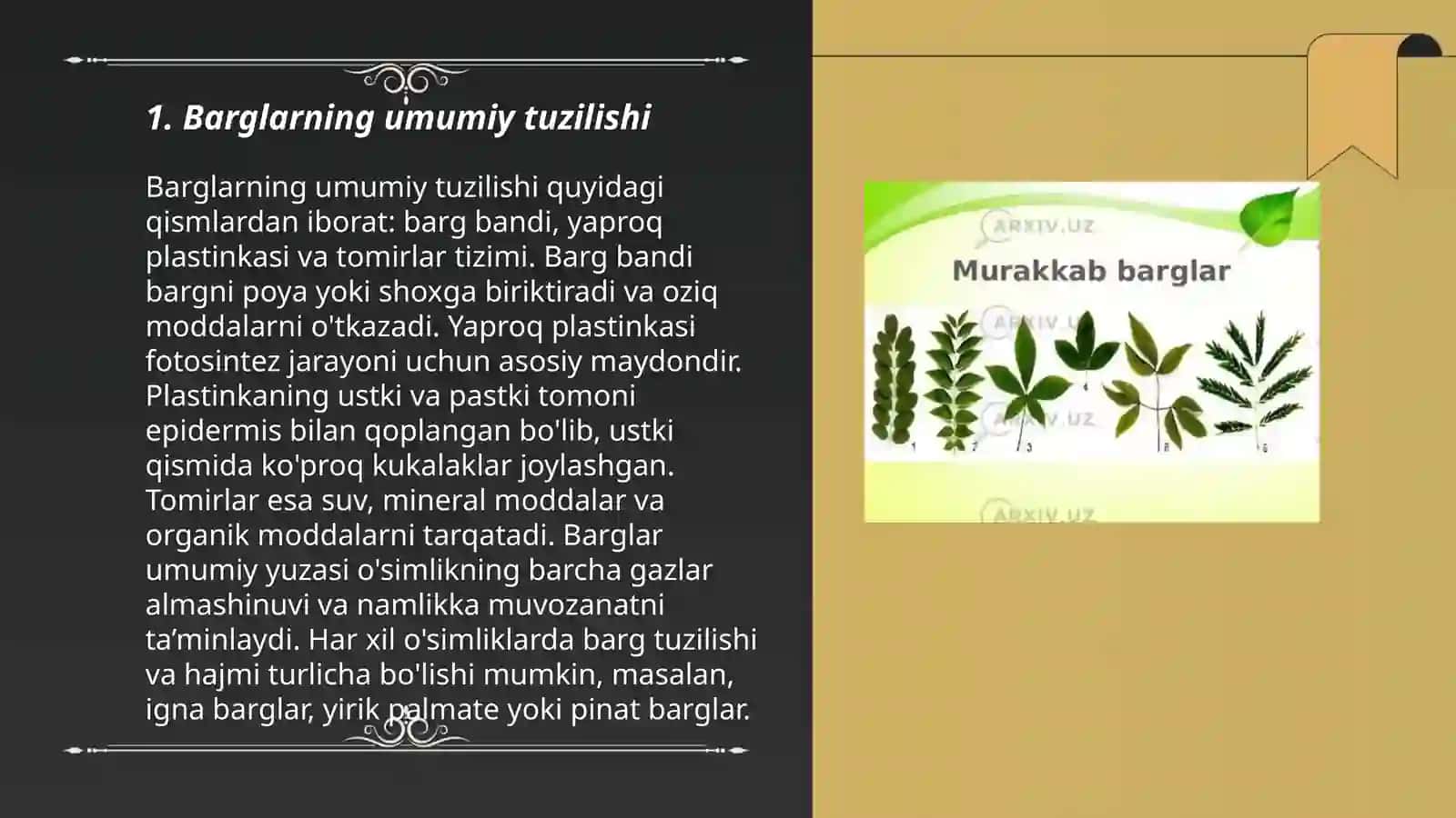 Barglarning morfologik va anatomik tuzilishi 3