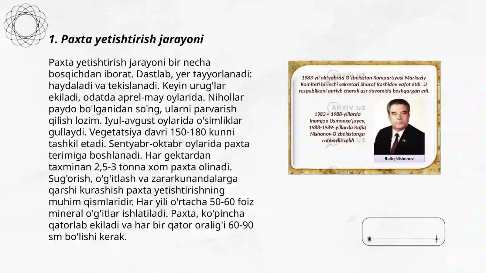 Paxta yetishtirish jarayoni 3