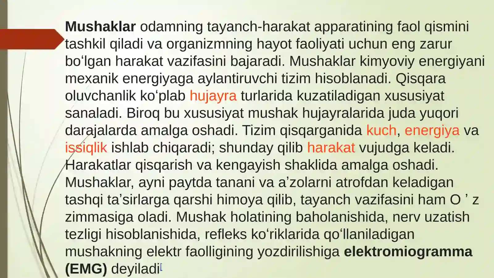 MUSHAK ISHINING ENERGETIK TAMINOTI 3