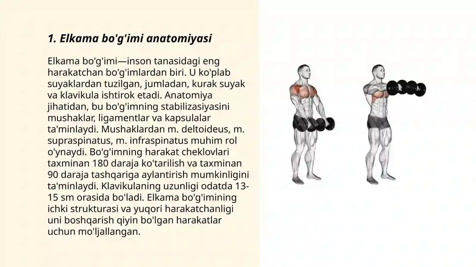 Yelka bo'g'imlarining biomexanikasi 3