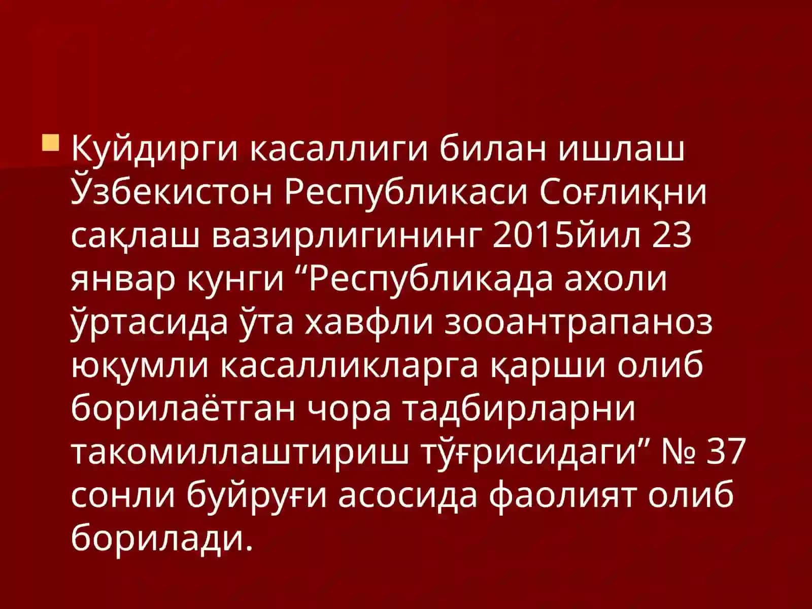 Куйдирги3 3