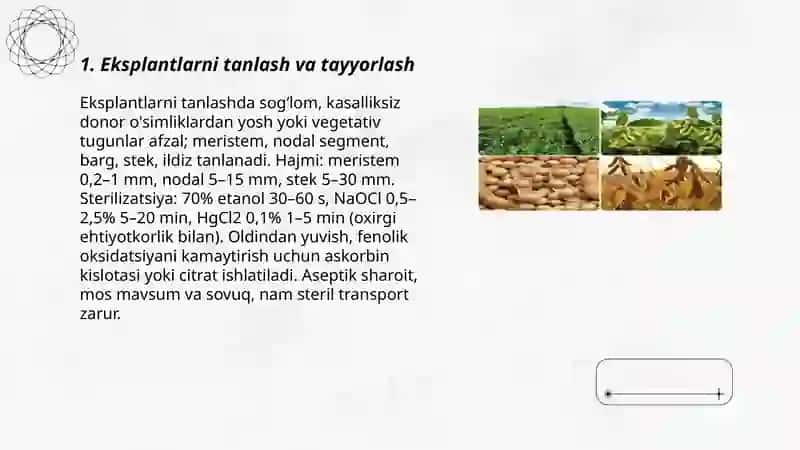 Oʻsimlik toʻqimalarini yetishtirish usullari 3