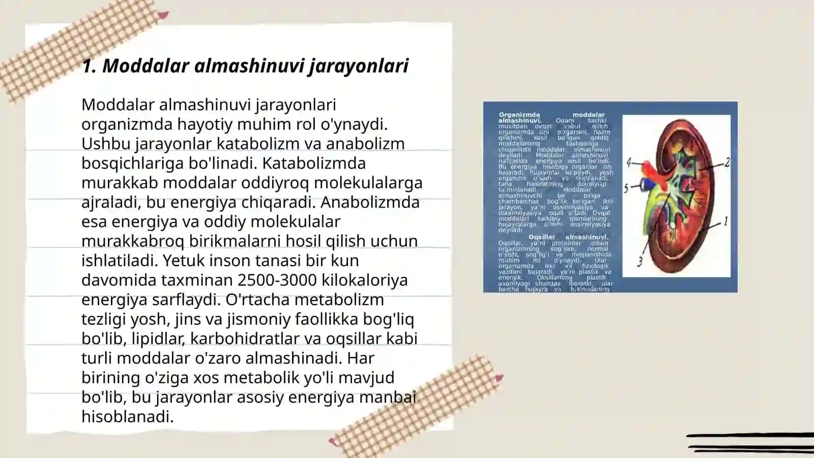 Moddalar almashinuvi jarayonlari 3