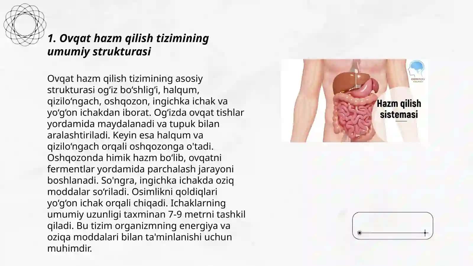 Ovqat hazm qilish tizimi 3
