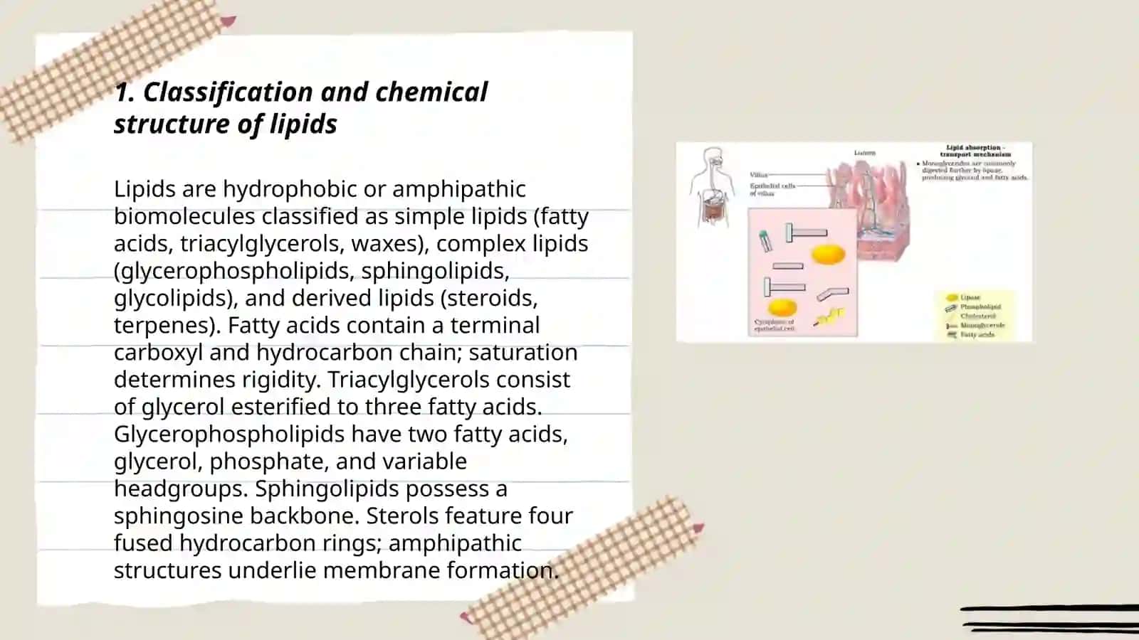 Biochemistry of Lipids 3