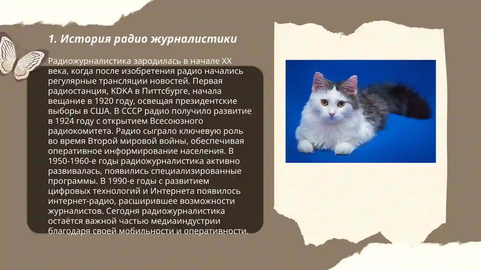 Радио журналистика 3