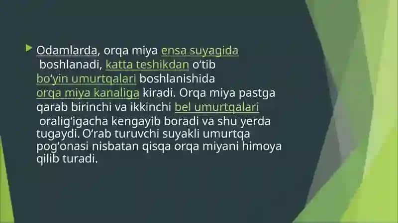 Bolalarda orqamiya anatomafiziologik o'zgarishlar 3