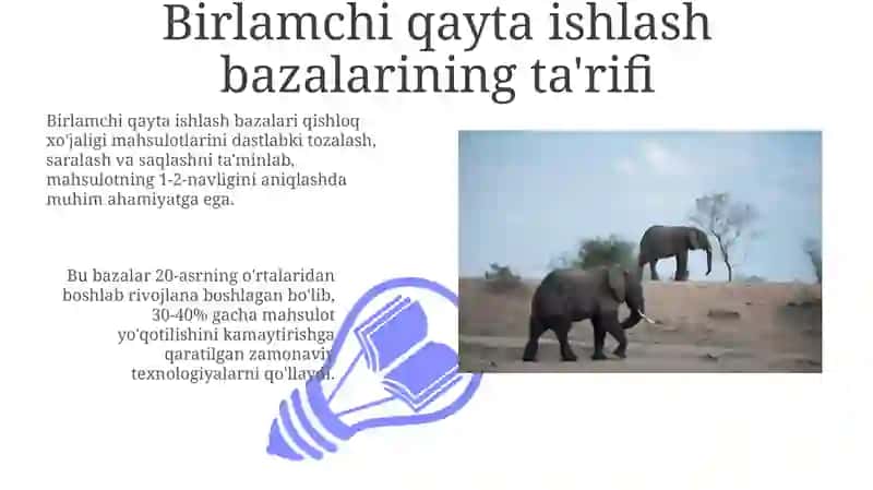 Pillanidastlabkiishlashbazalarivaularningvazifalari 3