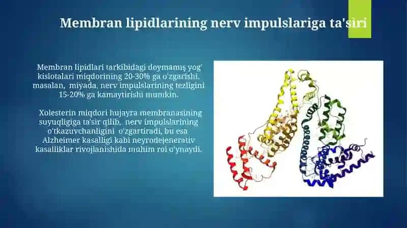 Hujayra membranasining lipidlari 3
