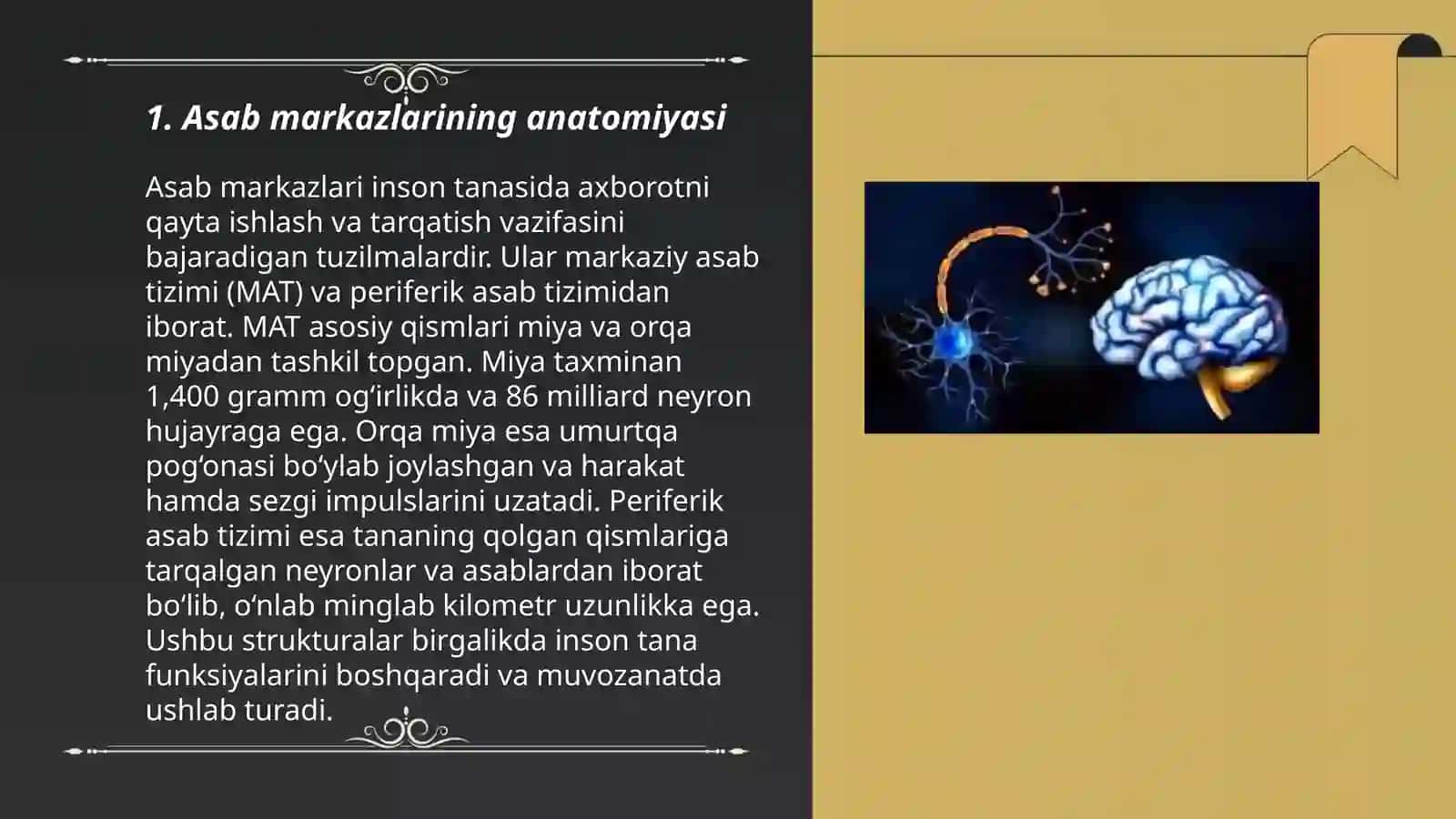 Asab markazlarining oziga xosligi 3