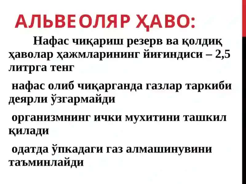 ГАЗЛАР ТРАНСПОРТИ. НАФАСНИНГБОШҚАРИЛИШИ 3