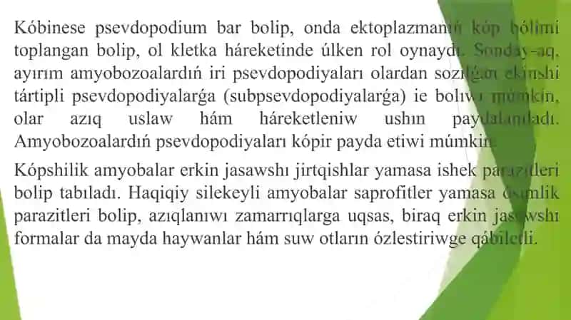 Bir kletkalıLar yáki apıwayı haywanlar kenje dunyası 3