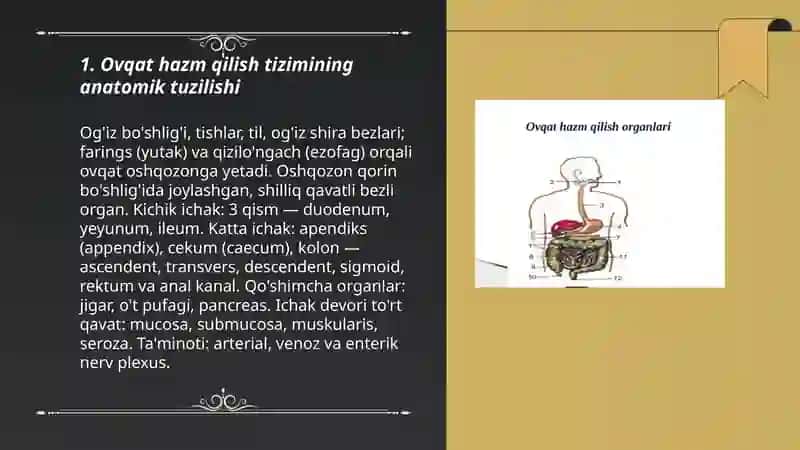 OVQAT HAZM QILISH SISTEMASI 3
