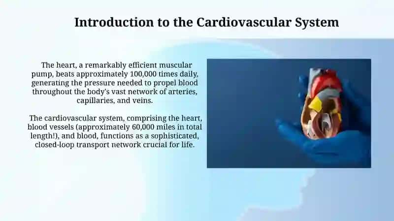 Cardiovascular Health and Disease 3