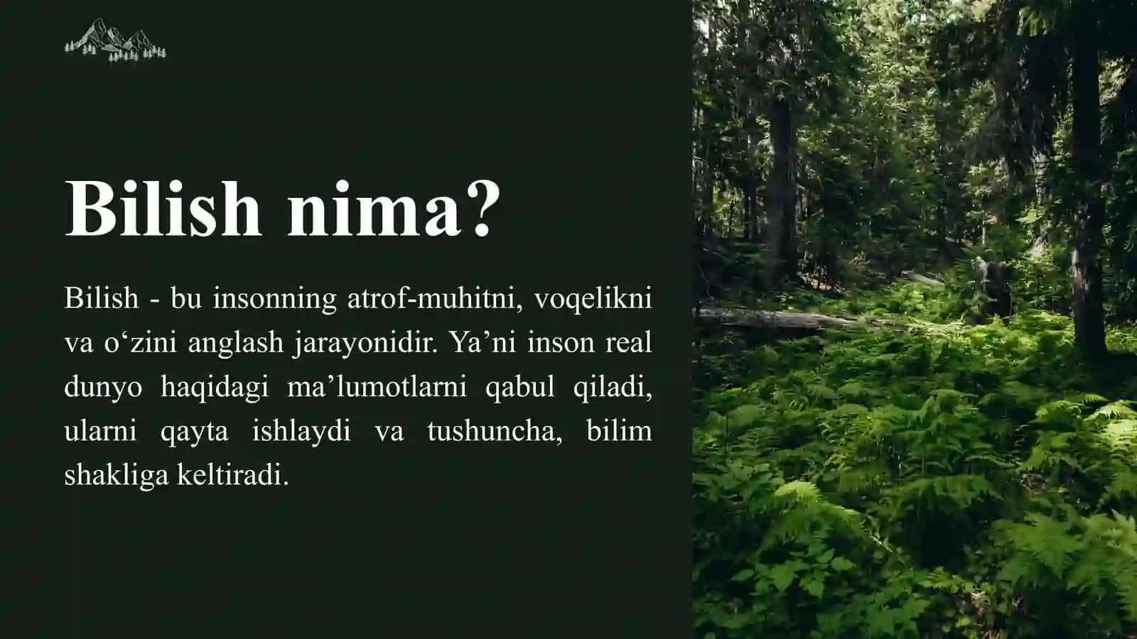 Bilish tushunchasi va uning falsafiy mohiyati 3