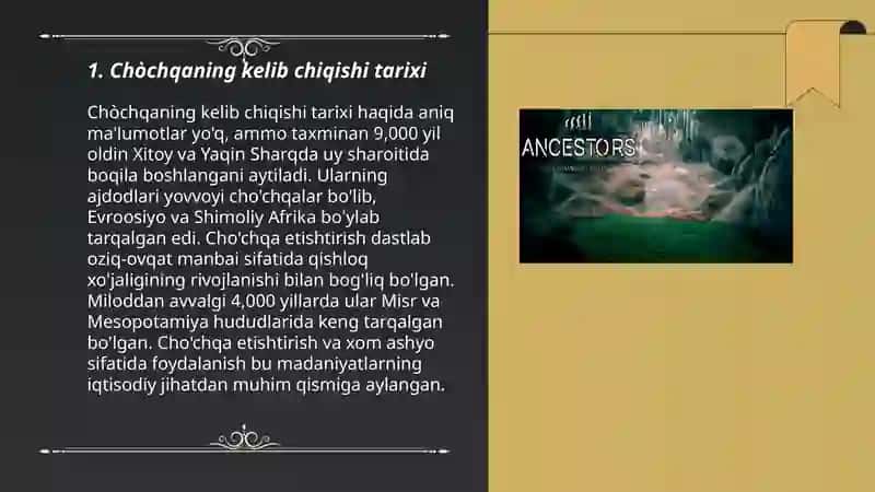 Chòchqalarning yovvoyi ajdodlari 3