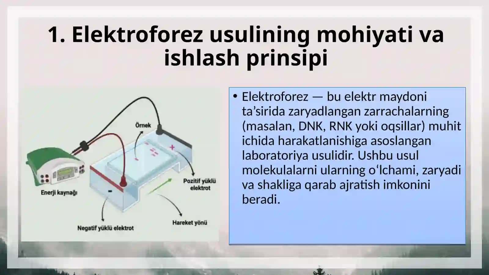 Elektroforez usulining Genomika fanida qo'llanilishi 3