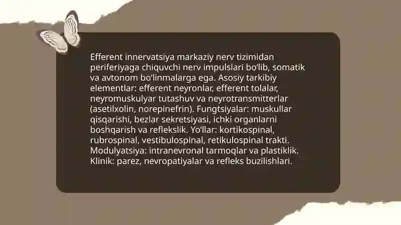 Efferent innervatsiya haqida tushuncha 3
