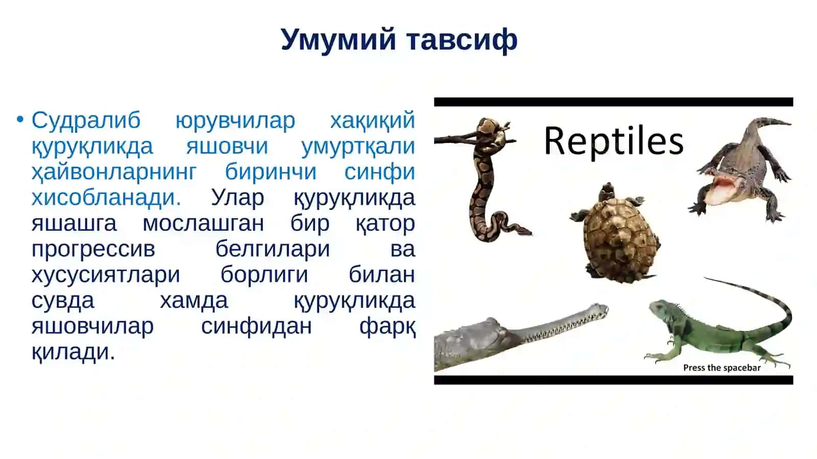 SUDRALIB YURUVCHILAR(REPTILIA)SINFI 3
