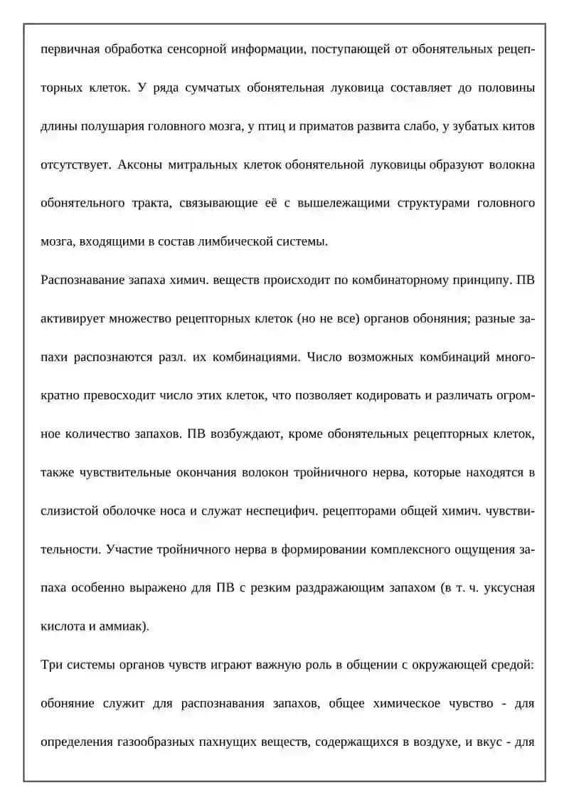 ОБОНЯТЕЛЬНЫЙ ОРГАН 3