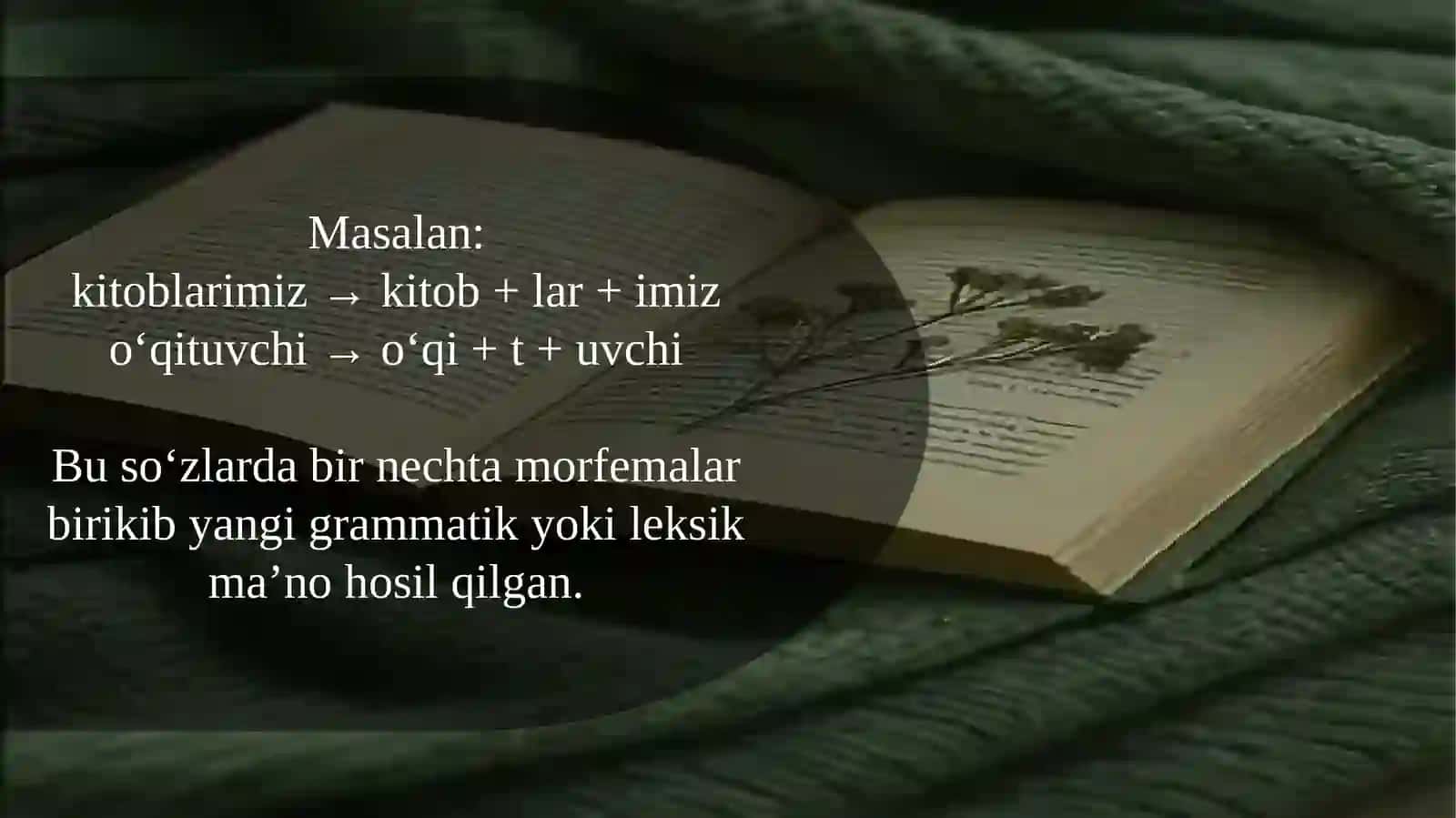 Hozirgi o’zbek adabiy tili. Morfemika 3