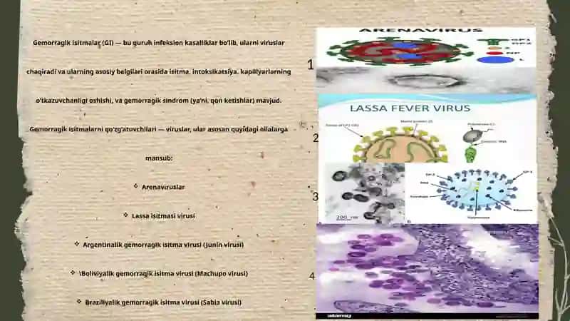 TTATF Davolash ishi-1 3