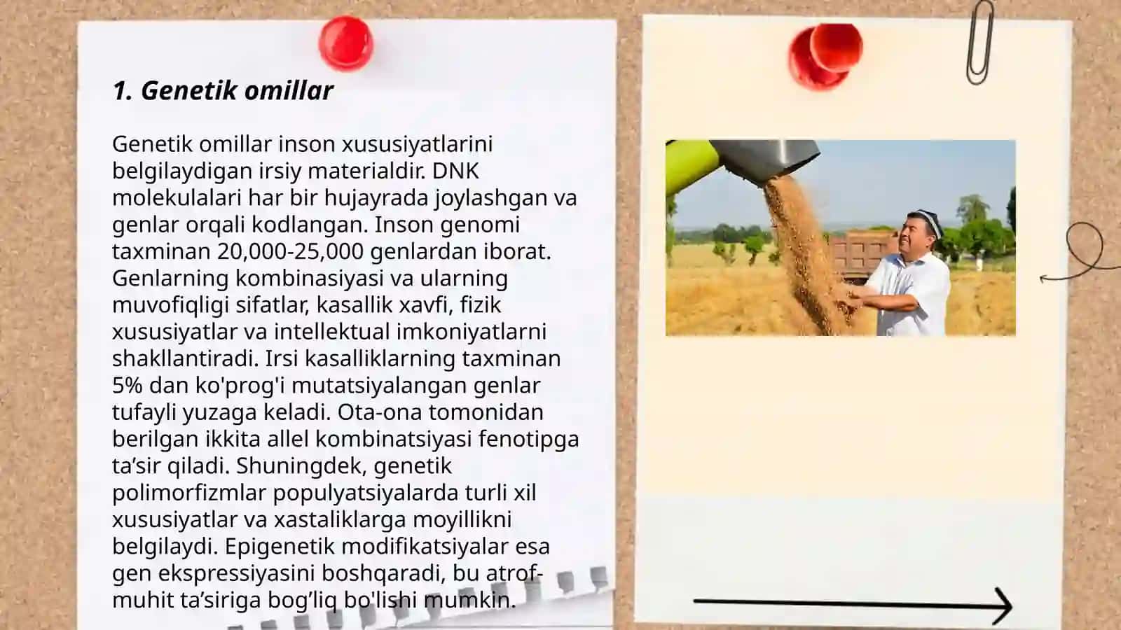 Saraton kasalliklarini kelib chiqish sabablari 3