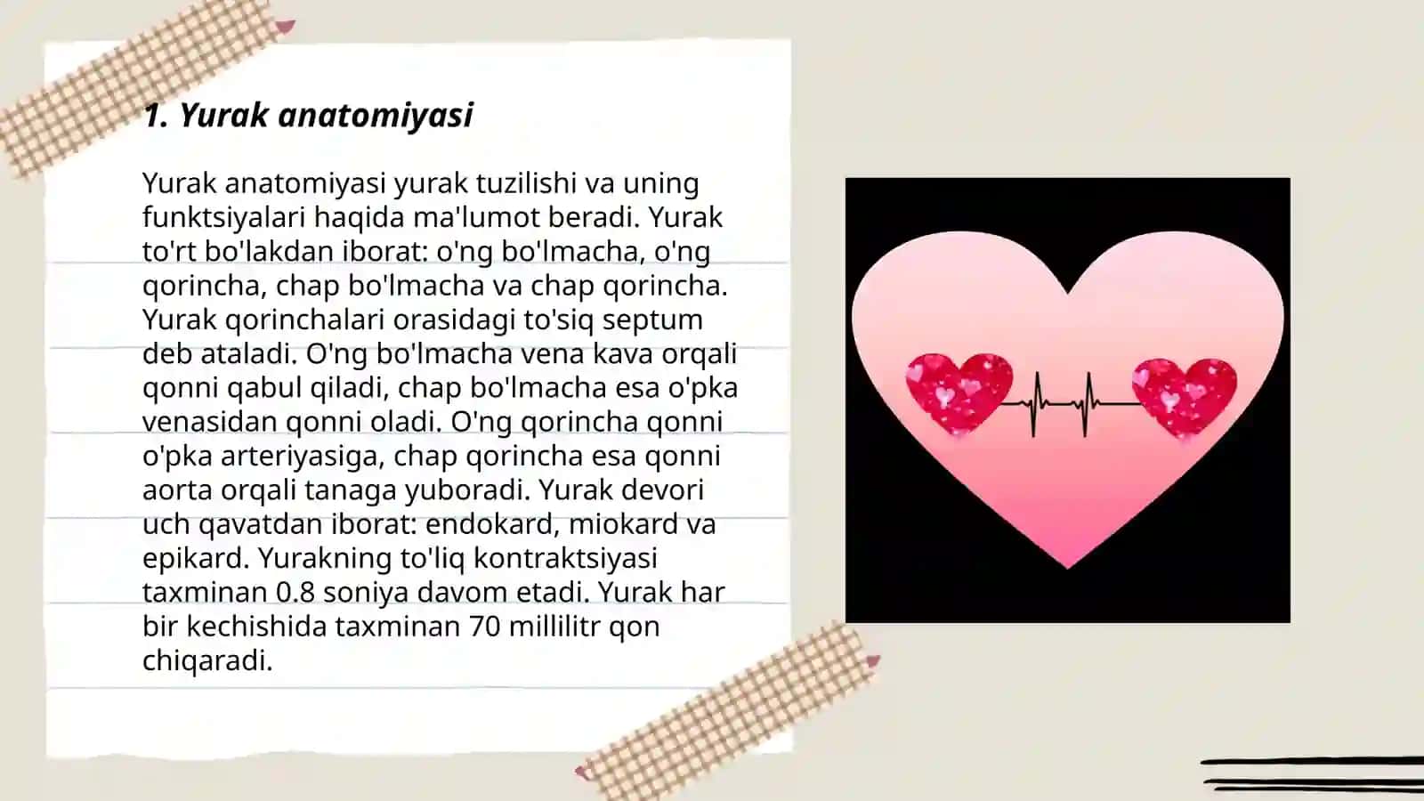 Yurak 3