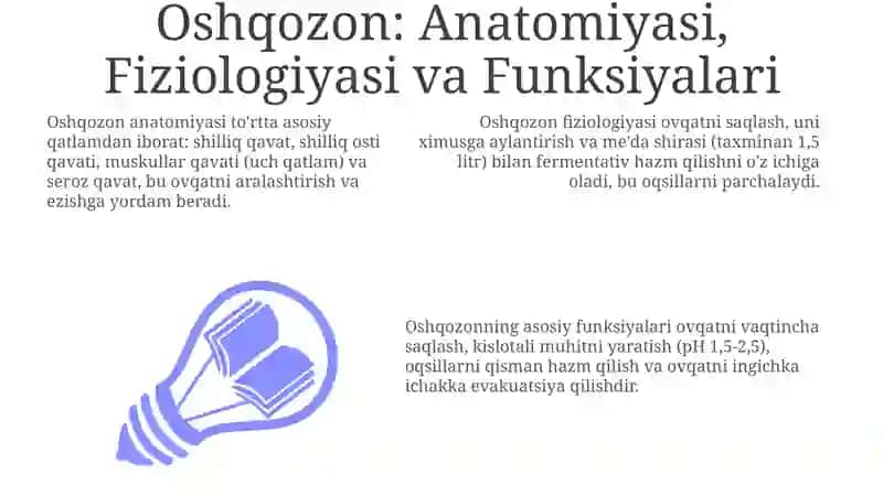 Oshqozonda ovqat hazm bo'lishi 3