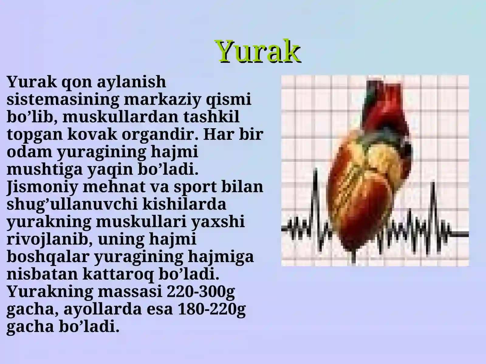 Yurak tuzilishi va uning faoliyati 3