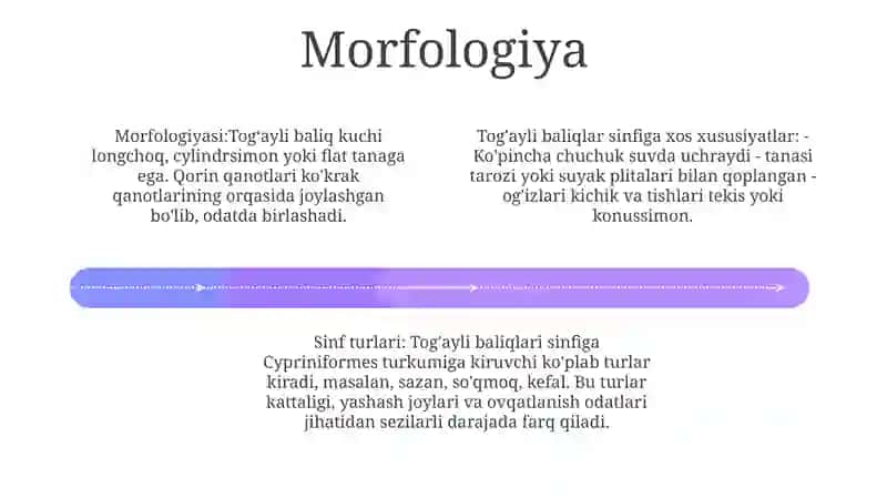 Tog'Ayli Baliqlar Sinfining Tavsifi 3