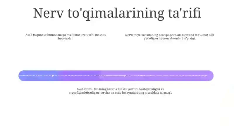 Nerv To'Qimasi 3