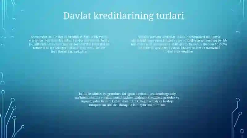 Davlat Kreditini Olish Tartibi 3