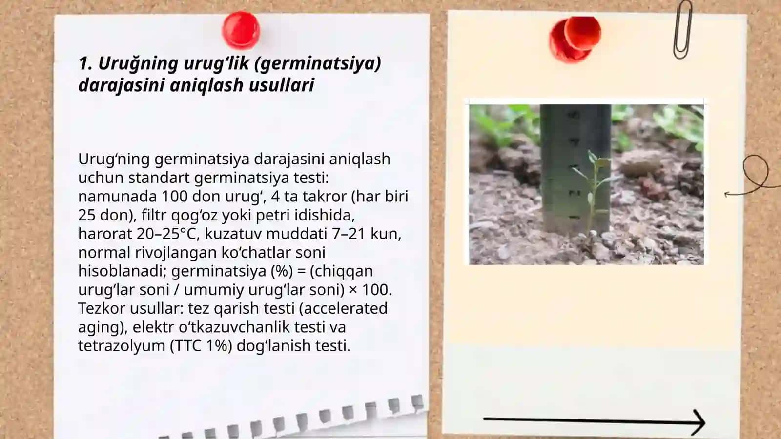 Uruğning urug‘lik (germinatsiya) darajasini aniqlash usullari 3