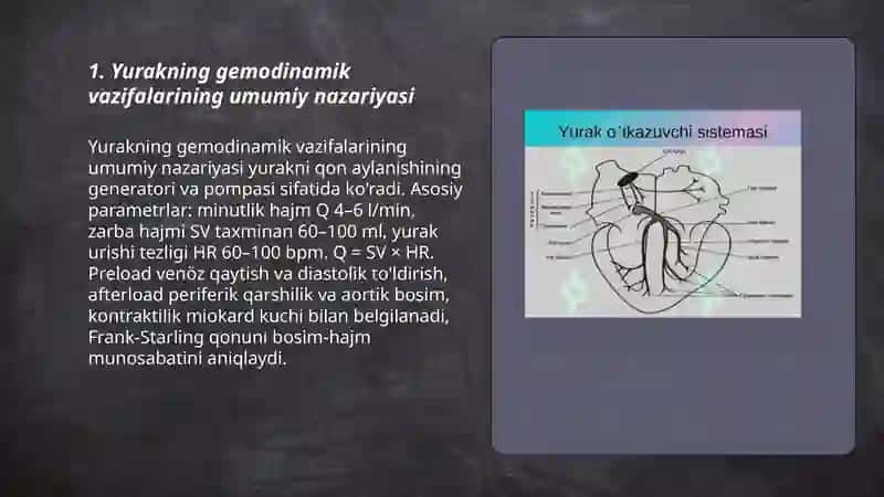 Yurakning gemodinamik vazifasi 3