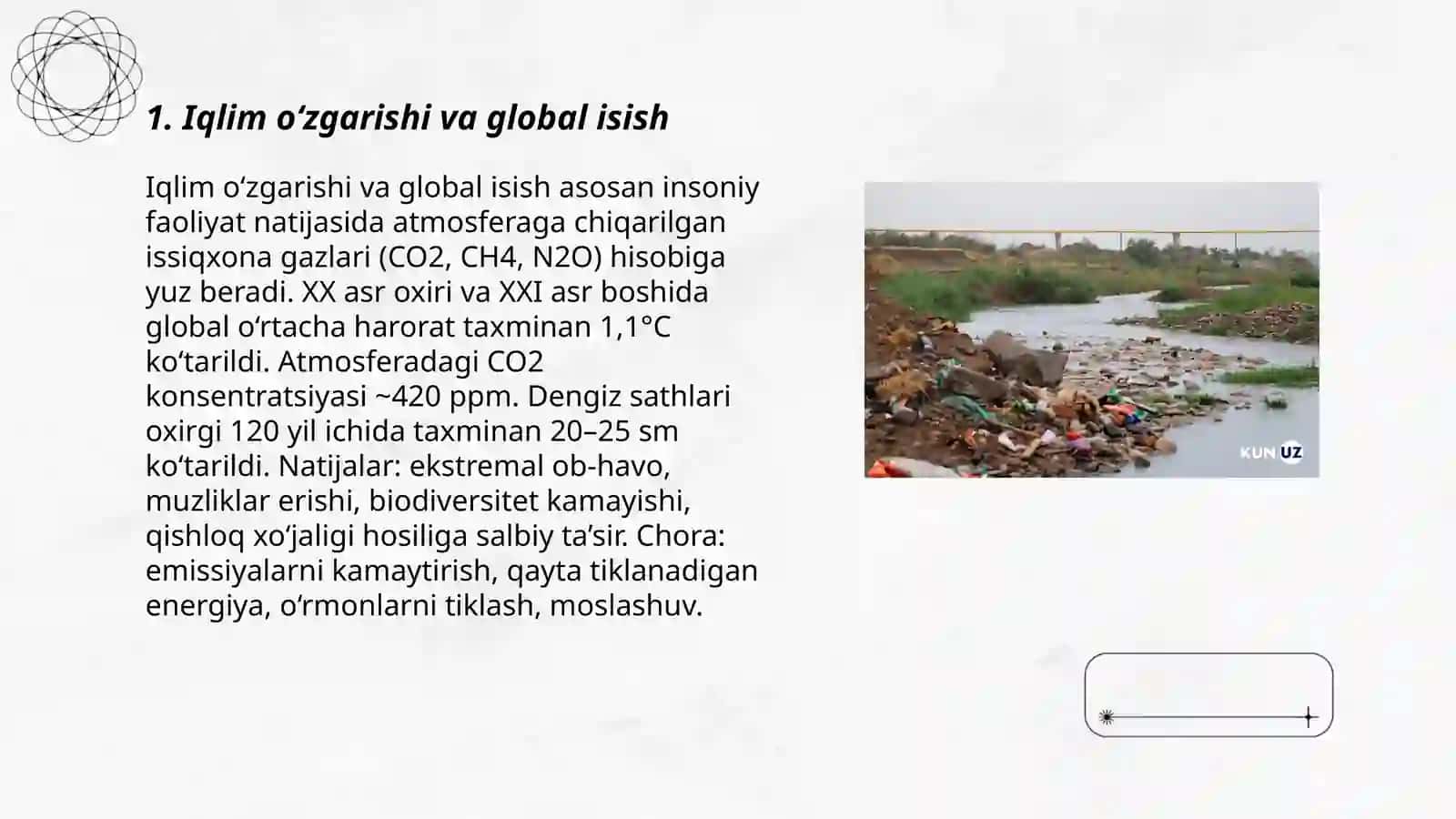 Global ekalogik mamolar 3