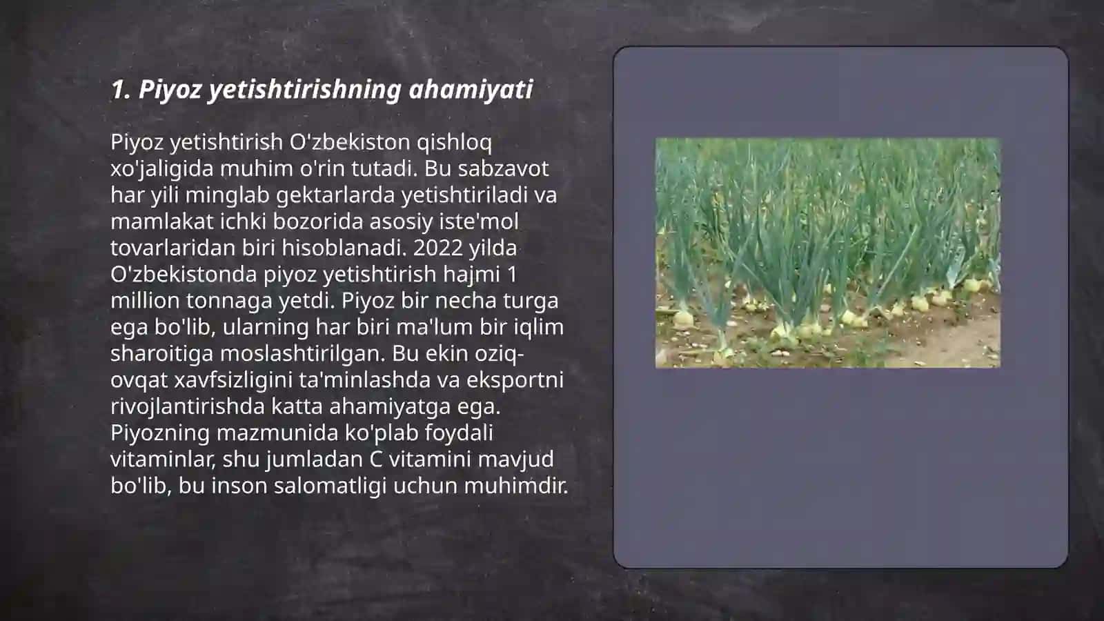 Piyoz yetishtirish 3