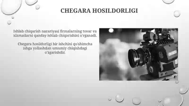 Ishlab chiqarish nazariyasi 3