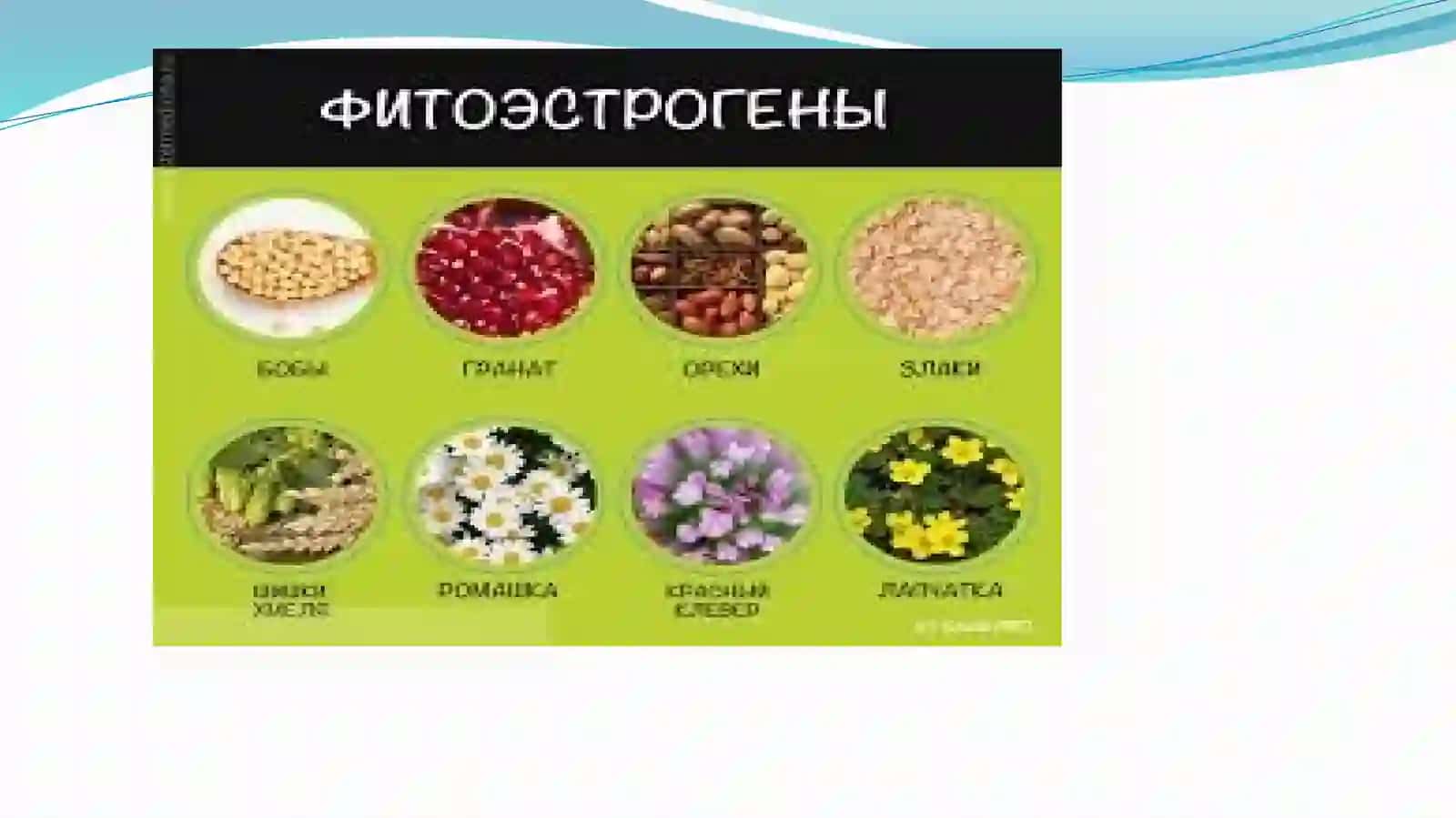 Fitoesterogenlar va ularning qo'llanilishi 3