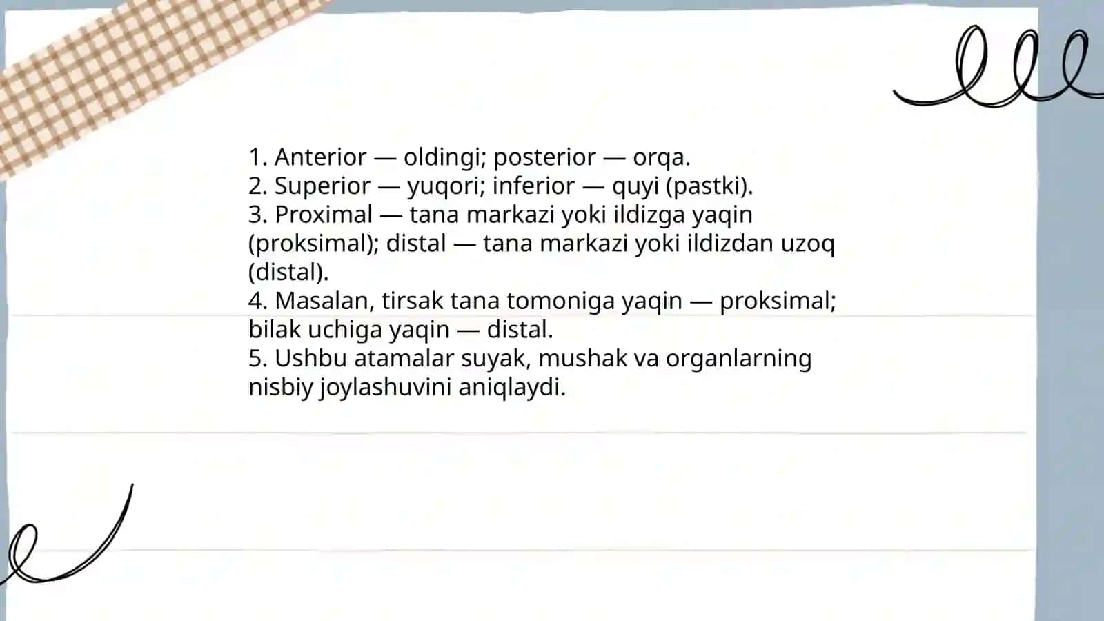 Anatomik iboralarning tarjimasi 3