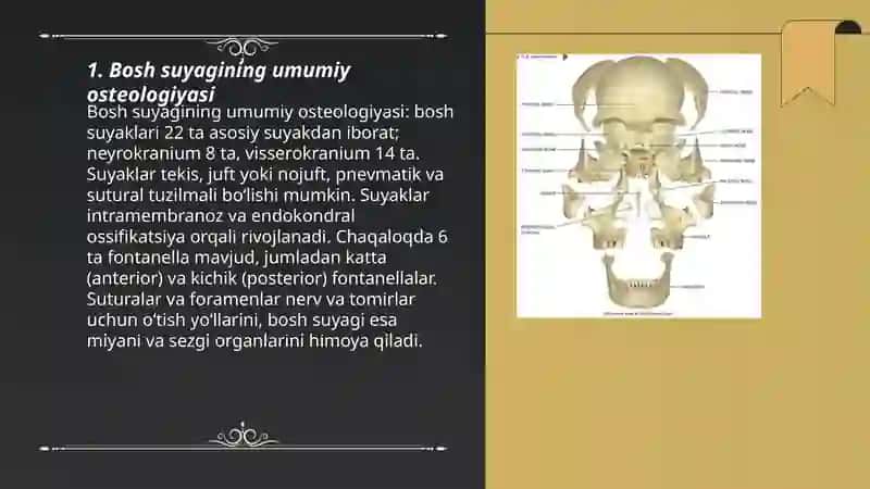 Bosh suyagining umumiy osteologiyasi 3