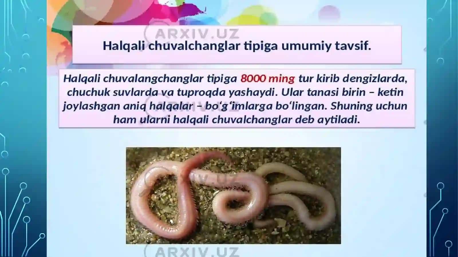 HALQALI CHUVALCHANGLAR TIPI 3