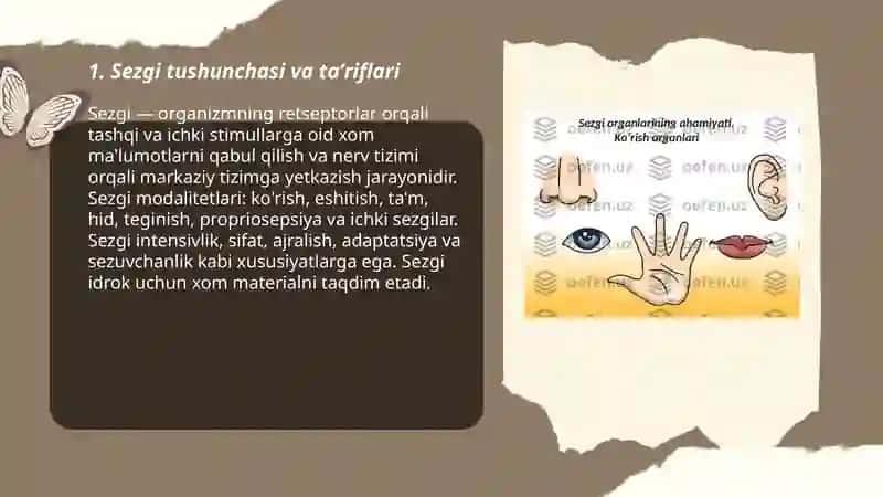 Sezgi haqida tushuncha 3