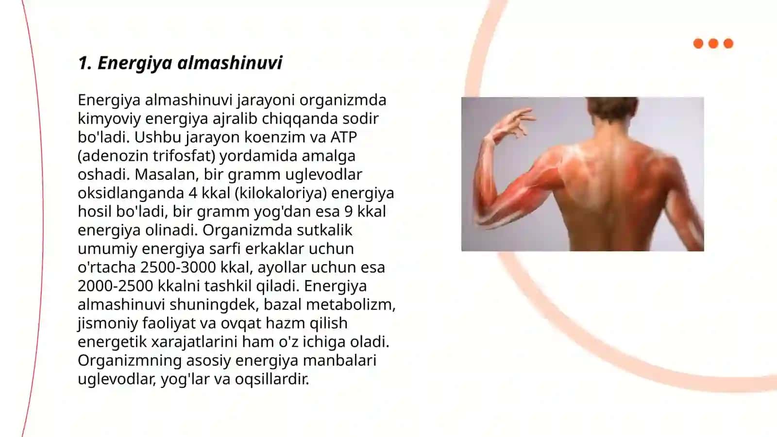 Mushaklar biokimyosi 3